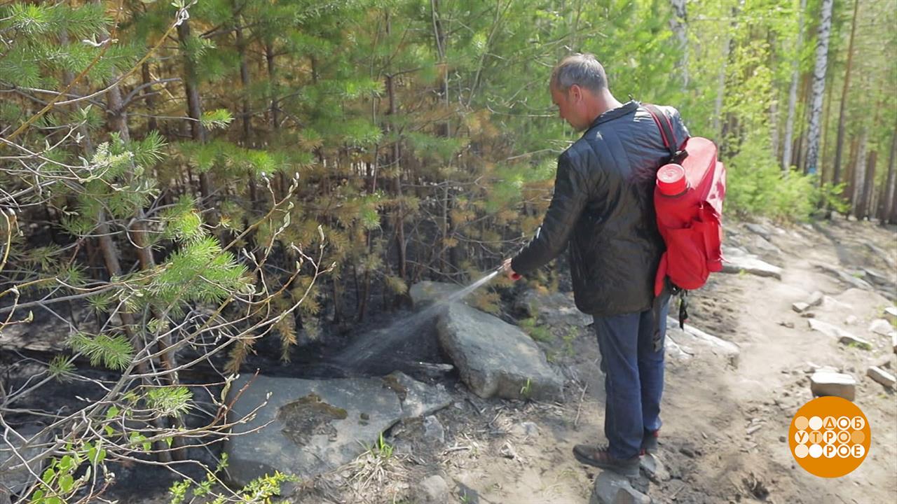 Добровольные помощники огнеборцев. Доброе утро. Фрагмент выпуска от 19.05.2023