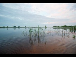 Кухня фотографа   выбор ракурса, экспозиционные дубли + комары в кадре восход туман 06 07