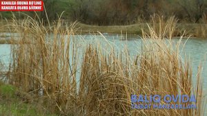 Po'kakli usulda baliq ovlash - baliq ovi.uz