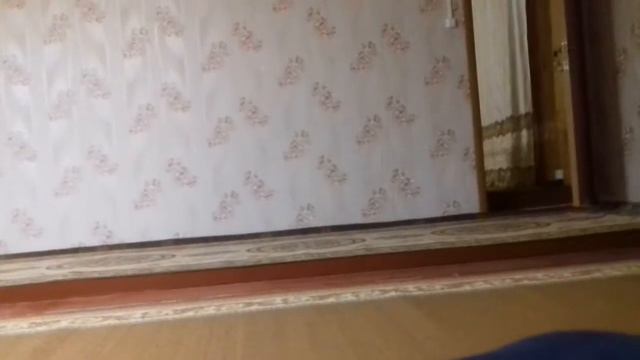 Я звоню на разные номера! WTG смотреть онлайн