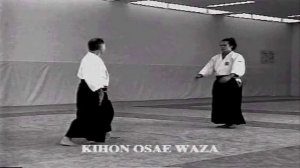 Айкибудо. Истоки и техника стиля.mp4