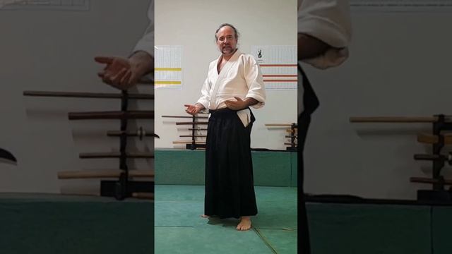 Ukenagashi & Aiki (15)  #martialarts #kenjutsu #aikido #katana #iaido #karate