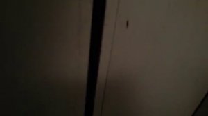 Электрические лифты V=1,4 м/с, г-п 320/кг (348)