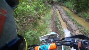 катаемся по лесу / покатушка на питбайках kayo 125/140. часть 6