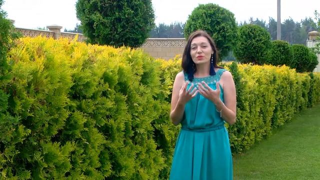 Отзыв о программе подготовки тренеров | Елена Плужник смотреть онлайн