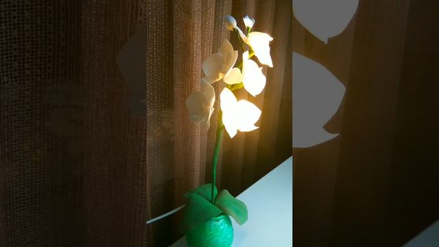 Flowers and lamps.   Цветы и светильники