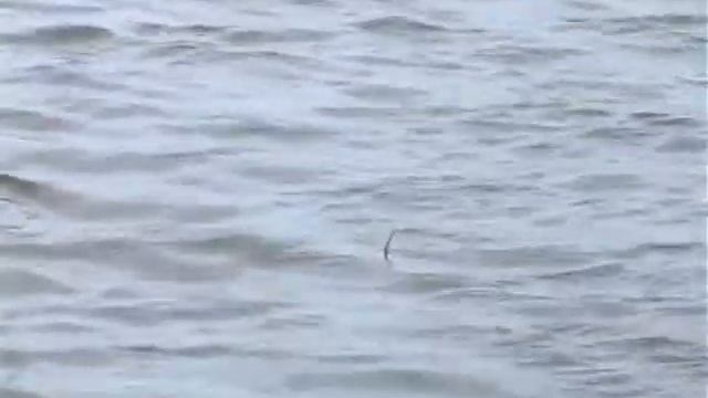 На природу 14.05.2016 смотреть онлайн