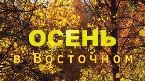 Осень в Восточном