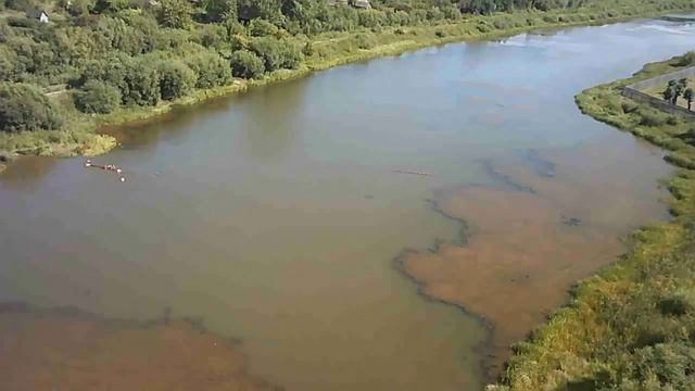 Доковский пруд, стадион пос. Троицкий смотреть онлайн