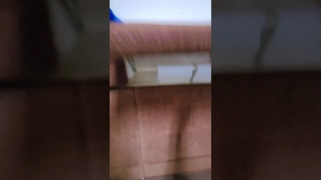 Поезд 1/2 Москва-Санкт Петербург . "Красная стрела". СВ вагон. Тариф "singl".. смотреть онлайн