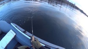 RIZER - Major Craft - 3-15 . СТАРЫЙ ЯПОНЕЦ  ЛУЧШЕ НОВОГО КИТАЙЦА !!!