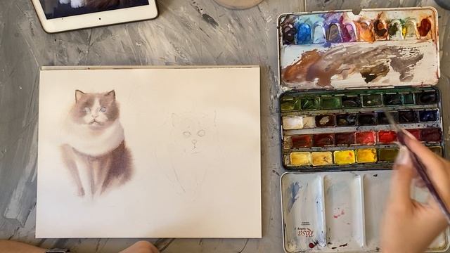 Котики аквареллю | Як намалювати домашніх улюбленців | Акварель для початківців смотреть онлайн