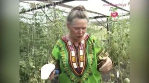 Отзыв о фиолетовом, белом и зелёном баклажанах. Как быстро приготовить баклажаны?