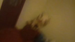 Реакция cartoon cat на его вызовы