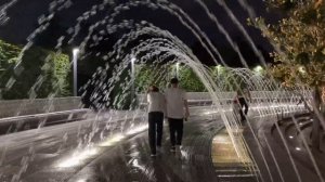 Вечерний Краснодар, как ночью выглядит Парк Галицкого и улица Красная.