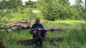 «Досада» играет Николай Коськин