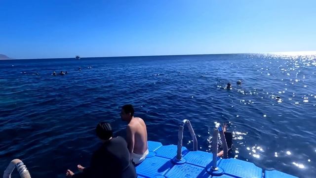 ШАРМ ЭЛЬ ШЕЙХ ?? ПОГОДА В ЯНВАРЕ SUNRISE REMAL RESORT 4* ОТЗЫВЫ ТУРИСТОВ О ОТДЫХЕ