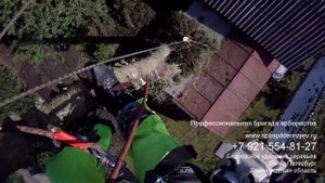 Валка деревьев частями СПб и Лен. обл./Tree removal
