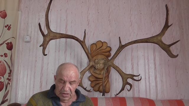 Кто такие таёжные СОГЖОИ и как их добывают смотреть онлайн