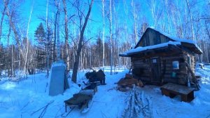 В тайгу на выходные. Промысловая охота. Лесная изба.