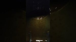 Лак в бензобаке