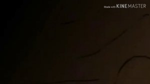 Коты-Воители. Листопад и Остролистая. Бьётся сердце бесполезно.