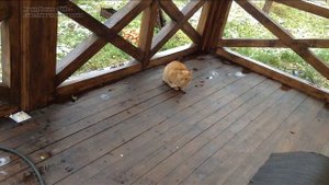 Как уберечь водопровод и сантехнику на даче от мороза