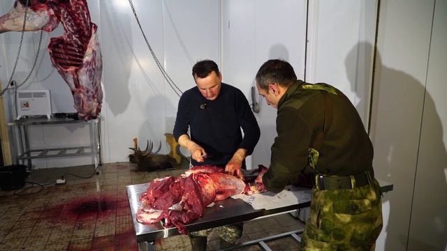 Как разделать тушу лося?