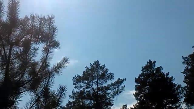 Тюлюк смотреть онлайн