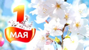 1 мая ДШИ.mp4