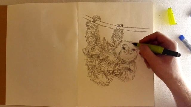 Как нарисовать ленивца - [Speedpaint] - Выпуск #1 смотреть онлайн