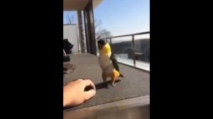 Сегодня пятница, пора расслабиться!