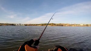 Окунь на микроджиг и на отводной поводок
