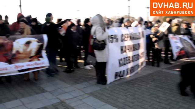 Пикет за ужесточение 245 статьи УКРФ