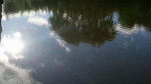 Рыбалка на Солдатском пруду, гольян карась.