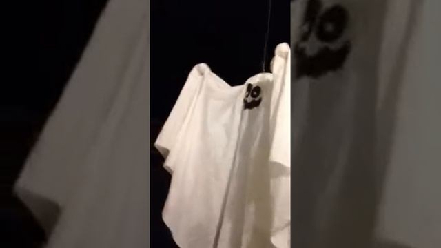 Scaredy Ghost Boo Boo