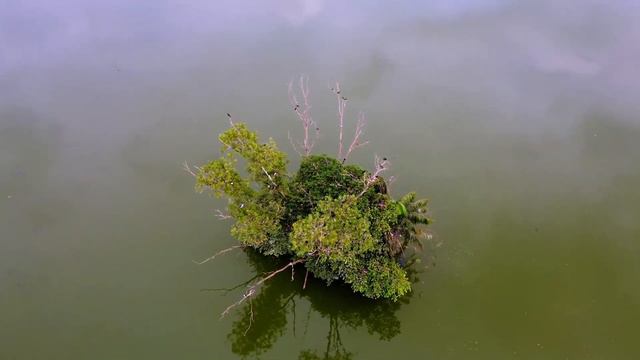 мастер исцеляющей музыки.🍀 исцеляющая музыка