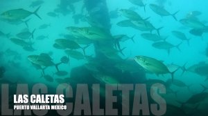 Thrilling Two-Tank Dive in Las Caletas, Mexico: Explore Underwater Mysteries!