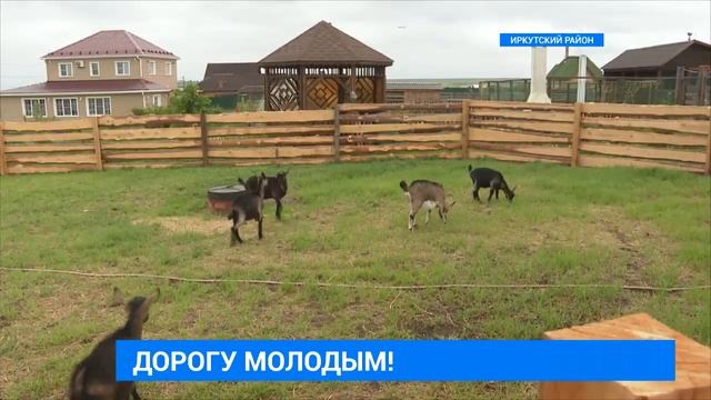 Семейная ферма