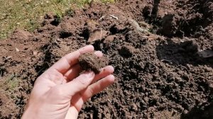 Продам находки за год и куплю жигули. Нашел медаль ветерана ВОВ. Коп поиск монет 2021