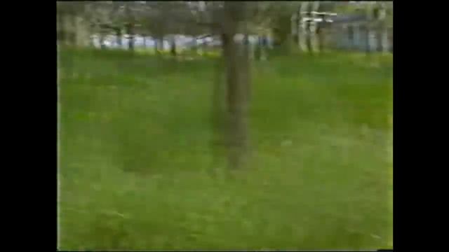 Прогулка в лагерь Дружба смотреть онлайн