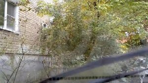 Результат переворота резинок щеток стеклоочистителя
