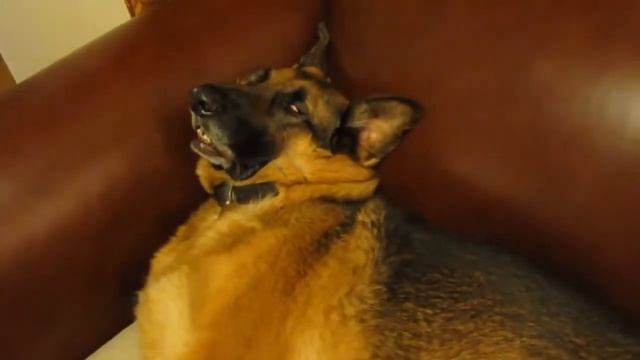 Сладкий сон с пробуждением смотреть онлайн