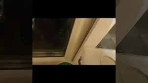 Как определить пол богомола.