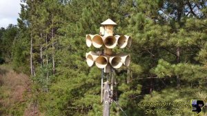 Federal Signal 3T22 Siren Test - Gaffney, SC