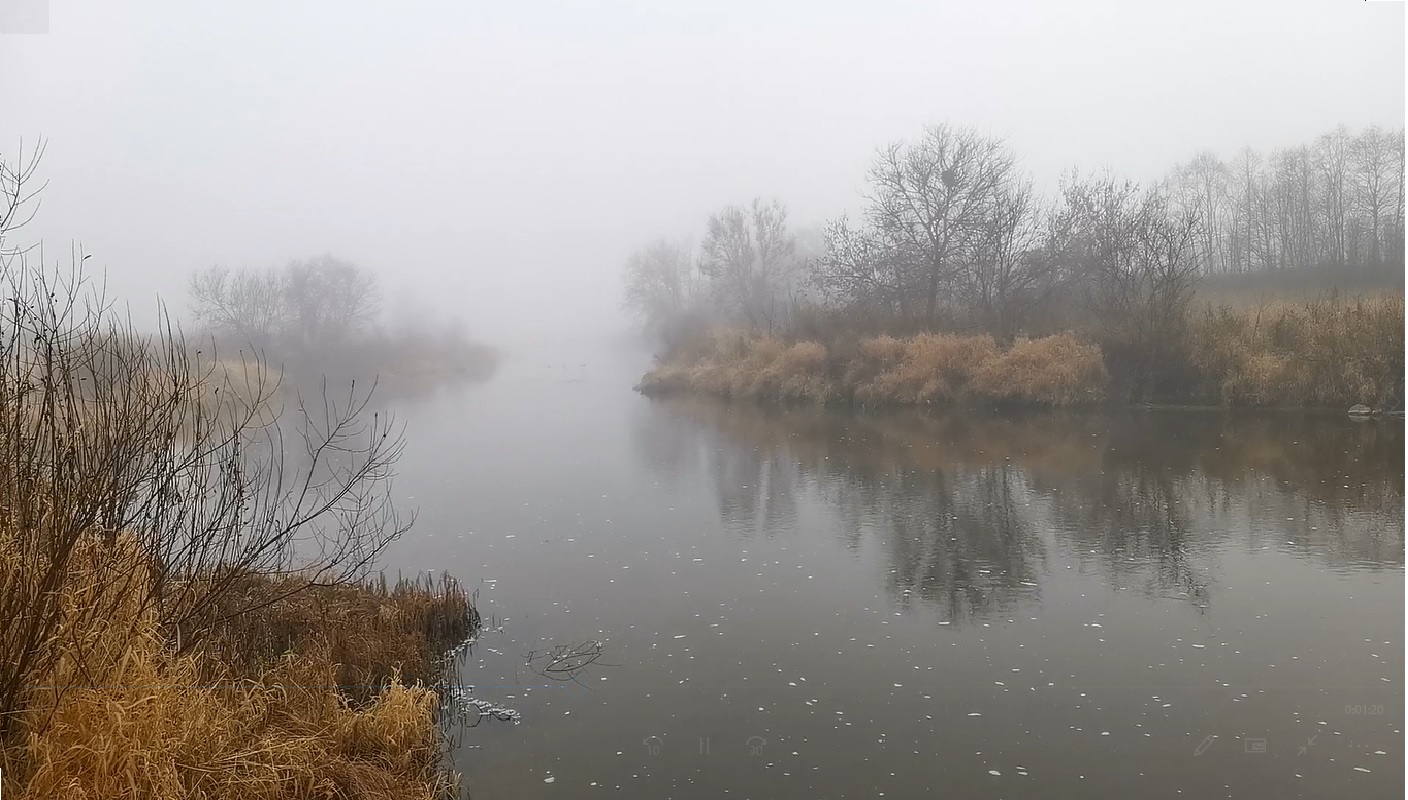 Песня над рекой туман сизый дым. Густой туман на озере. Река река. Вид на реку. Деревенская речка туман май.