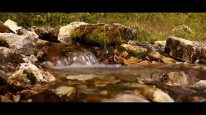 Заслуженный артист Республики Татарстан Азат Имаев