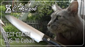 Тест стали AUS 10 Cobalt. То Кивенко Сергей. Нож от Павла Пахомова.