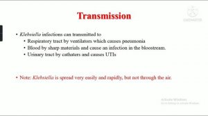 Klebsiella pneumoniae