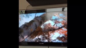 Ps4 pro прошитая , прошивка 5.05